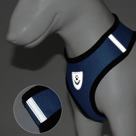 Adjustable Mesh Pet Harness & Leash Set