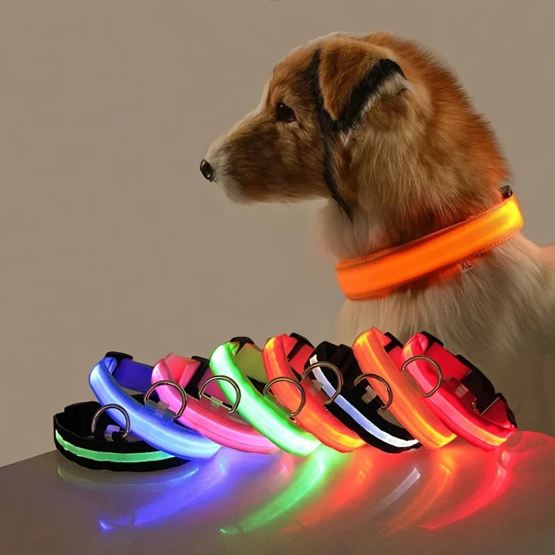 LED Glow-in-the-Dark Dog Leash & Collar