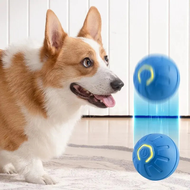 Smart Motion-Activated Dog Toy Ball