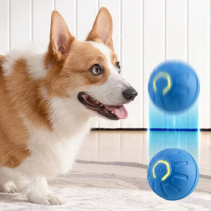 Smart Motion-Activated Dog Toy Ball
