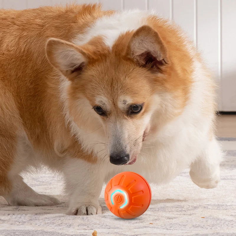 Smart Motion-Activated Dog Toy Ball