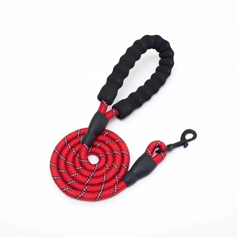 Reflective No-Strangle Nylon Dog Leash