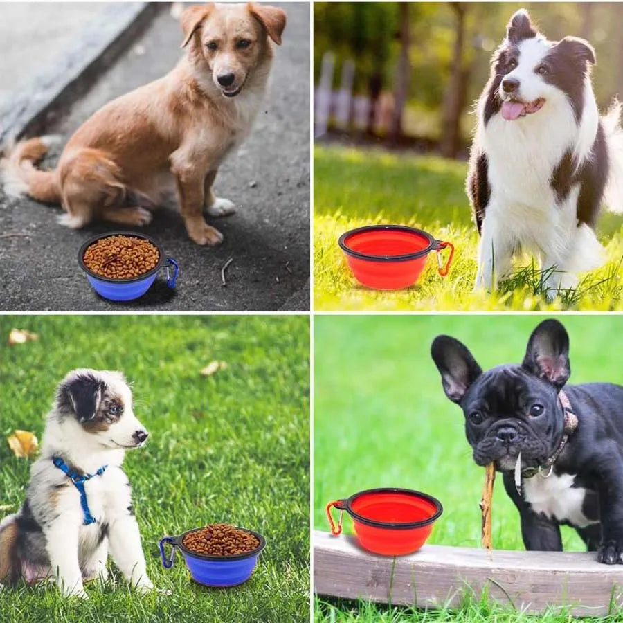 Collapsible Travel Dog Bowl