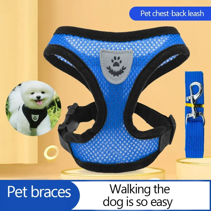 Adjustable Mesh Pet Harness & Leash Set