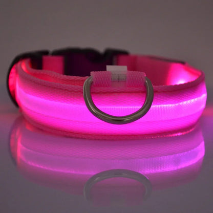 LED Glow-in-the-Dark Dog Leash & Collar