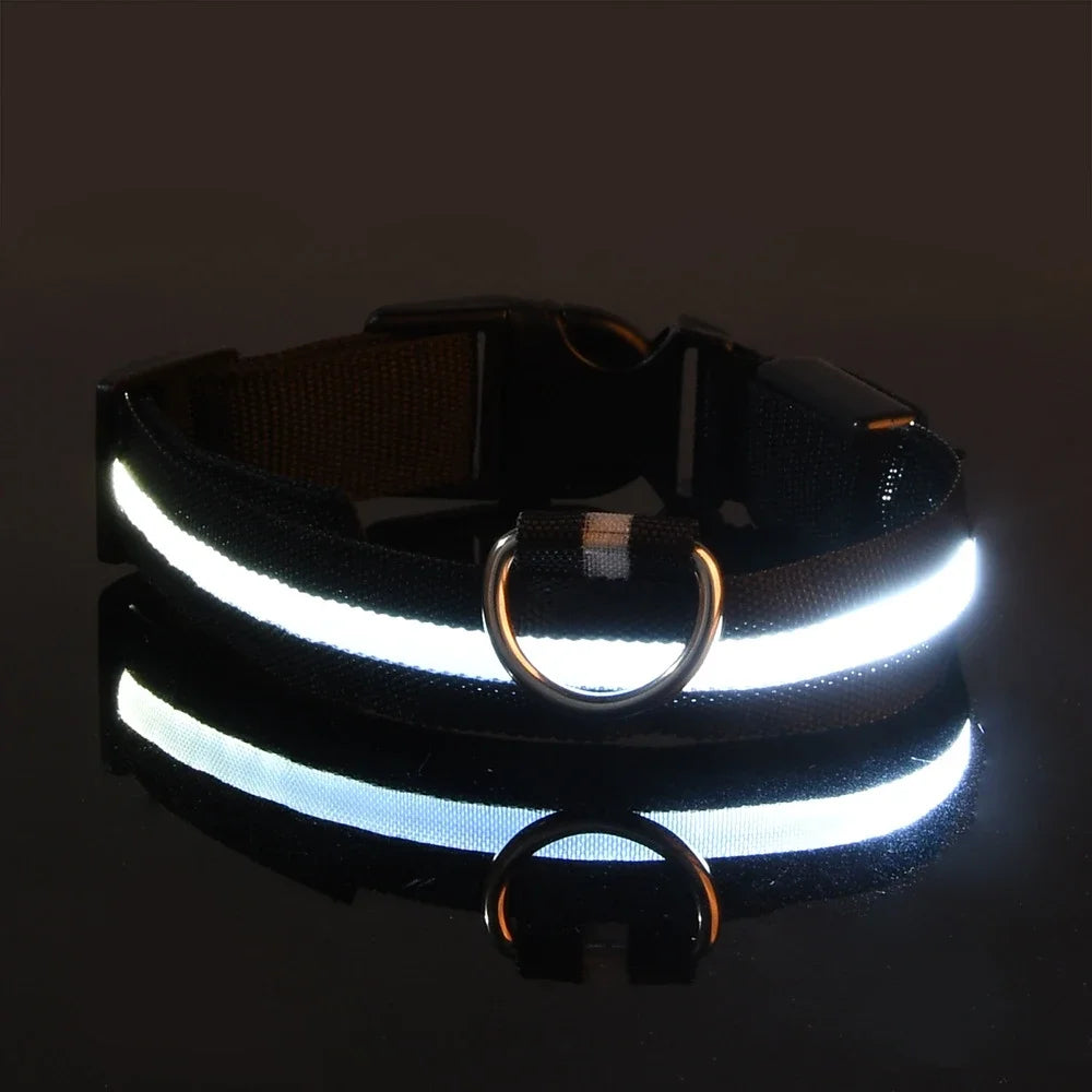 LED Glow-in-the-Dark Dog Leash & Collar