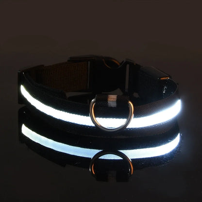 LED Glow-in-the-Dark Dog Leash & Collar