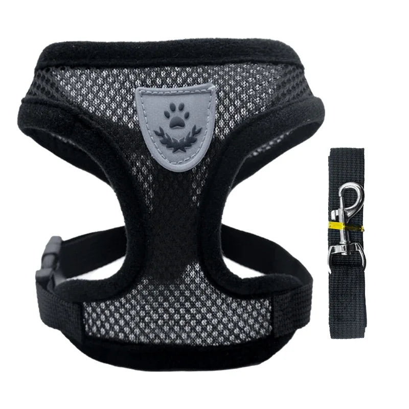 Adjustable Mesh Pet Harness & Leash Set