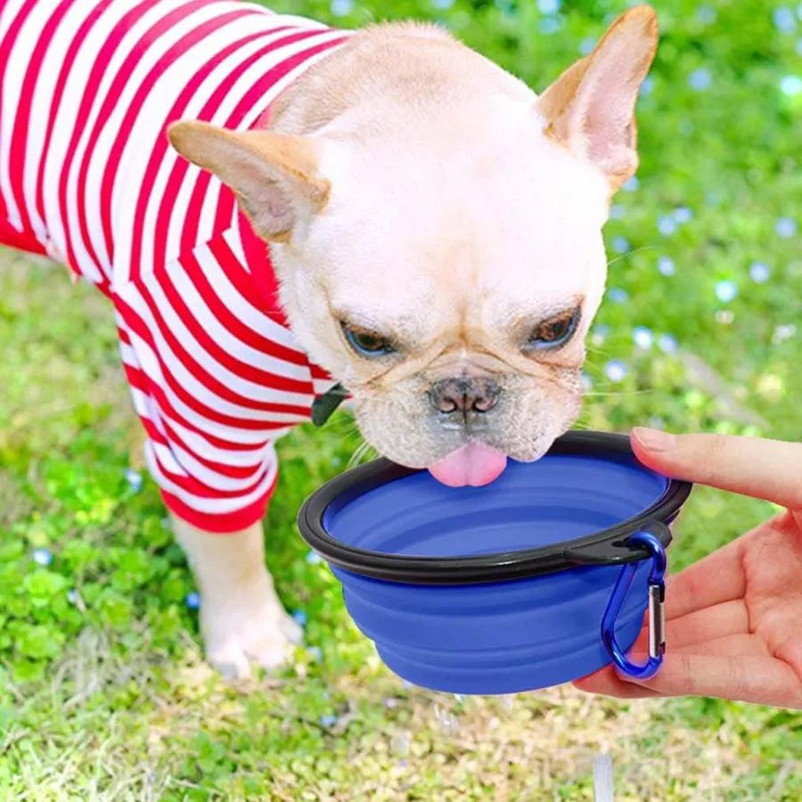 Collapsible Travel Dog Bowl