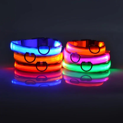 LED Glow-in-the-Dark Dog Leash & Collar