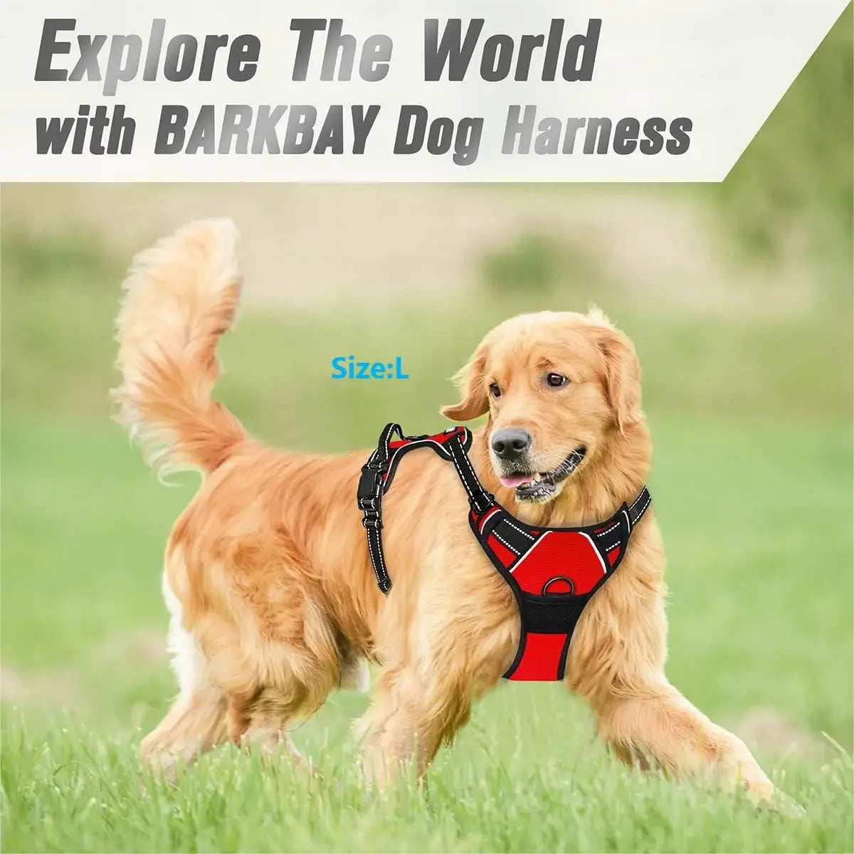 Ultimate No-Pull Dog Harness
