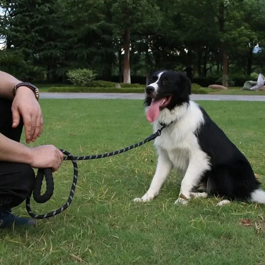 Reflective No-Strangle Nylon Dog Leash