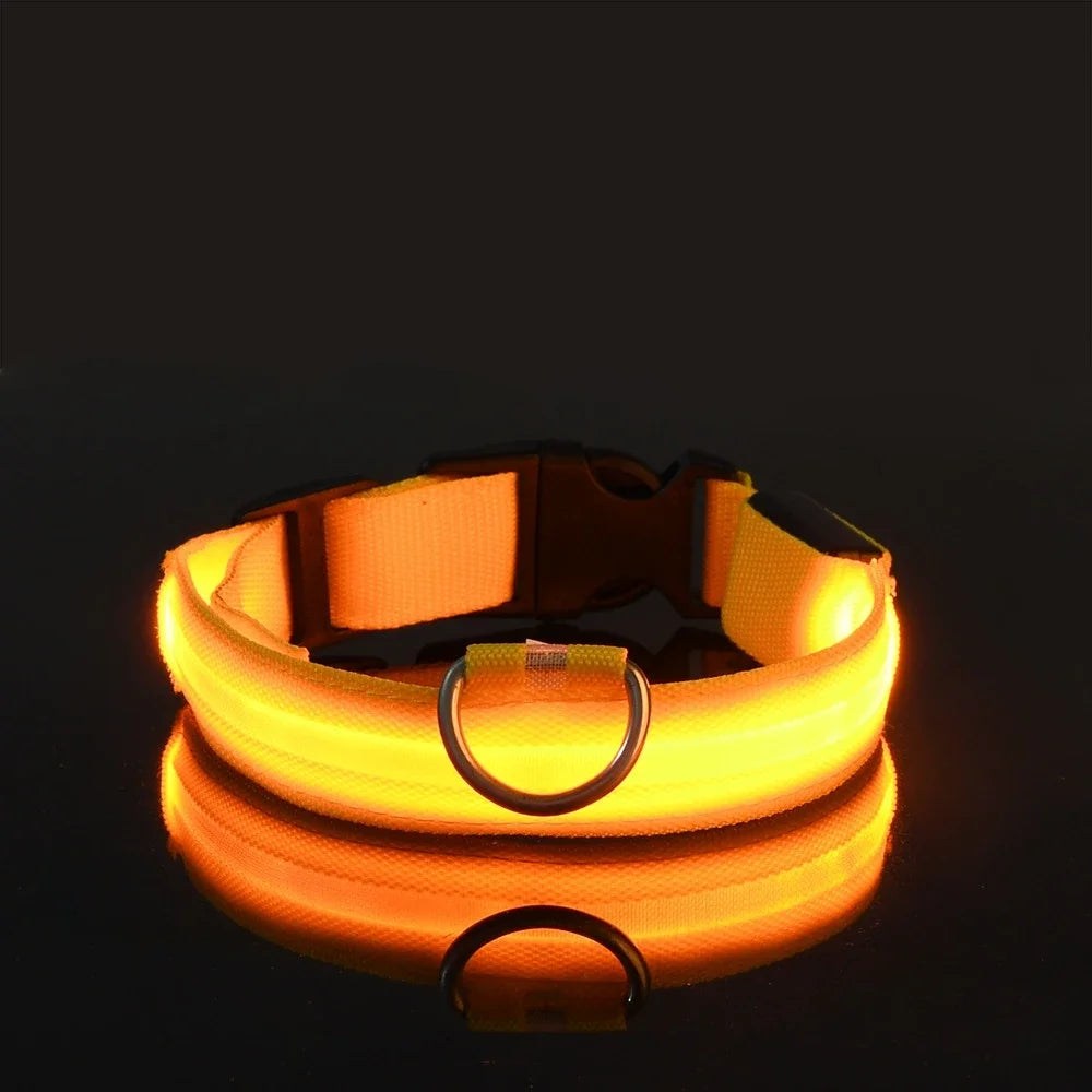 LED Glow-in-the-Dark Dog Leash & Collar