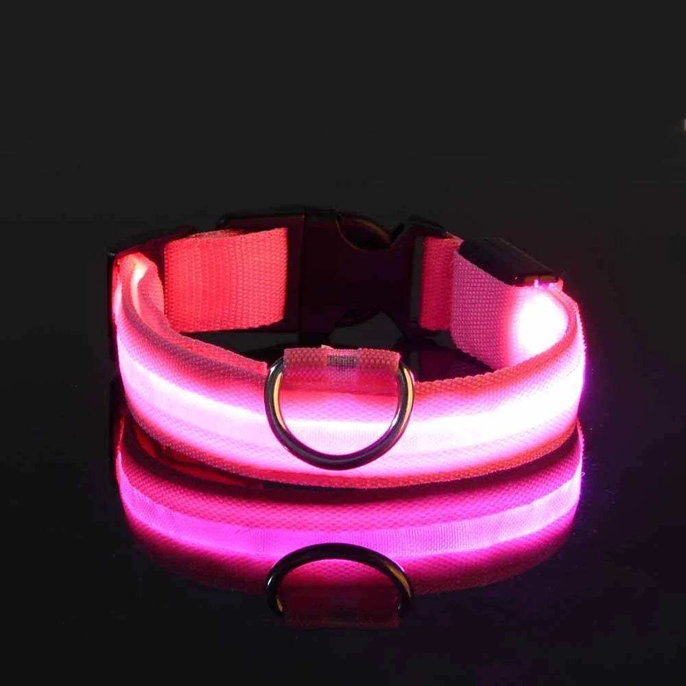 LED Glow-in-the-Dark Dog Leash & Collar