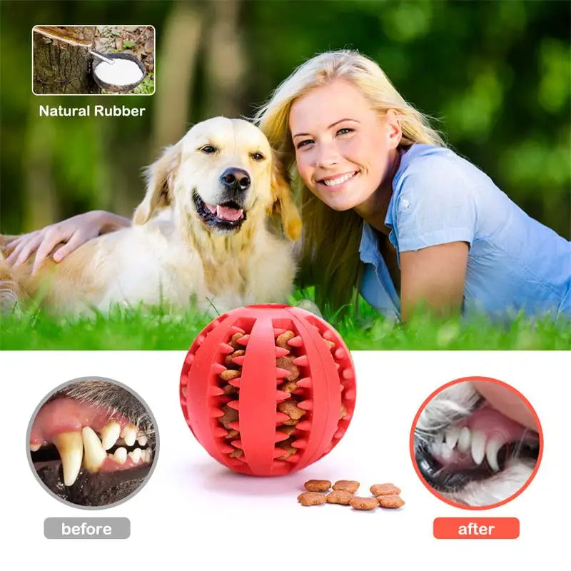 Interactive Rubber Treat Ball for Dogs