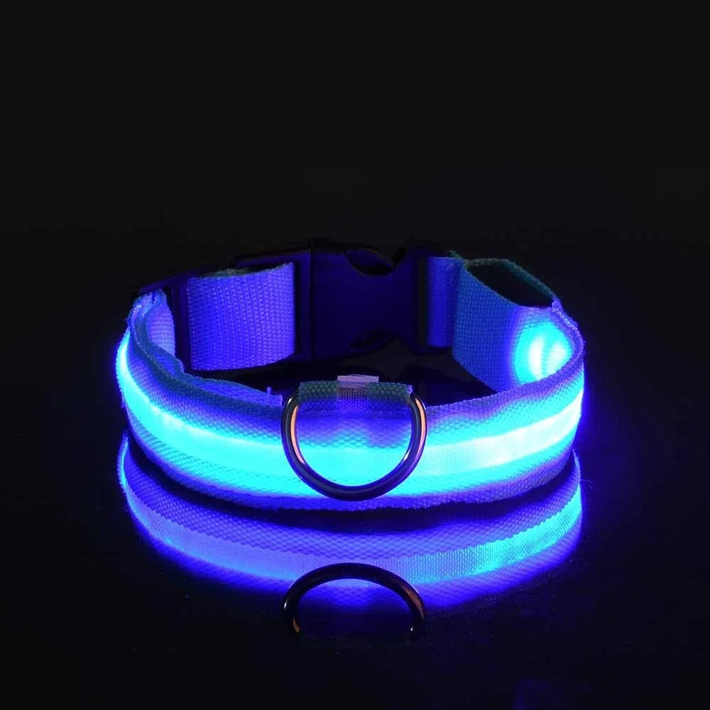 LED Glow-in-the-Dark Dog Leash & Collar