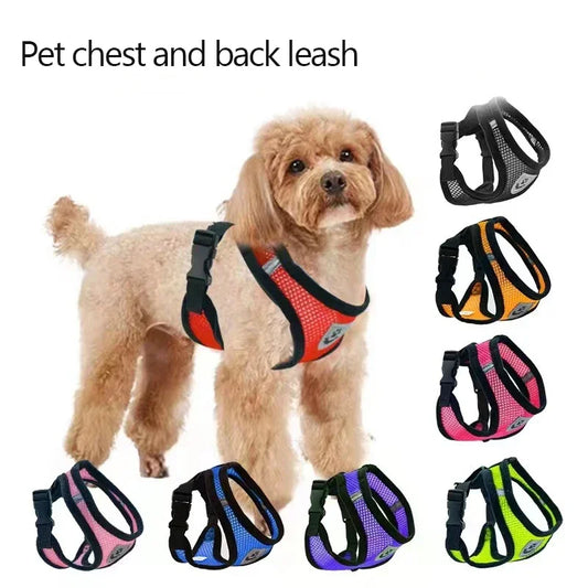 Adjustable Mesh Pet Harness & Leash Set