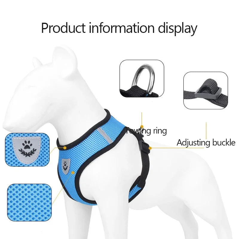 Adjustable Mesh Pet Harness & Leash Set