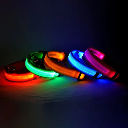 LED Glow-in-the-Dark Dog Leash & Collar