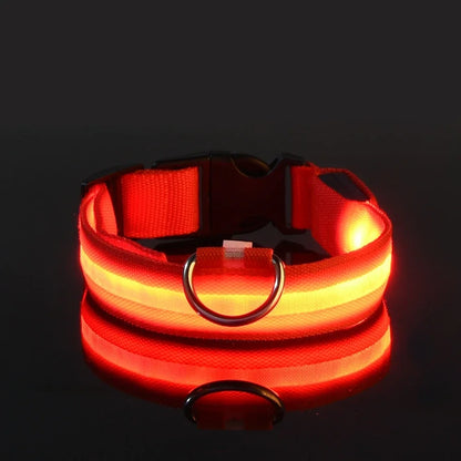 LED Glow-in-the-Dark Dog Leash & Collar