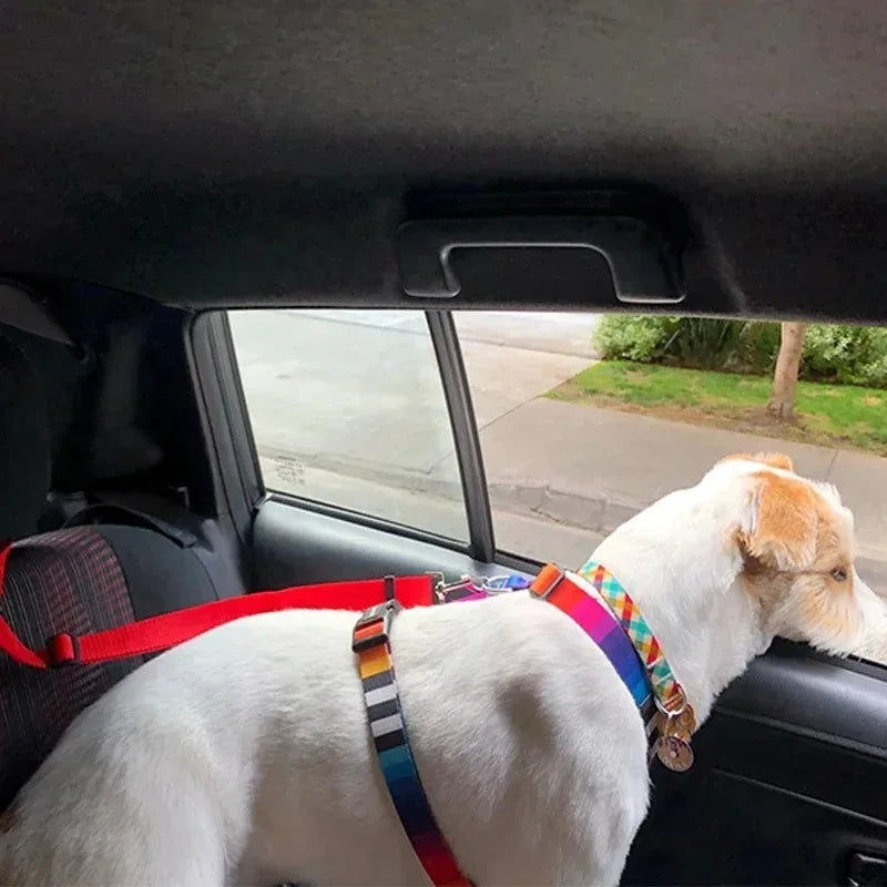 Adjustable Pet Seat Belt Leash for Car Travel