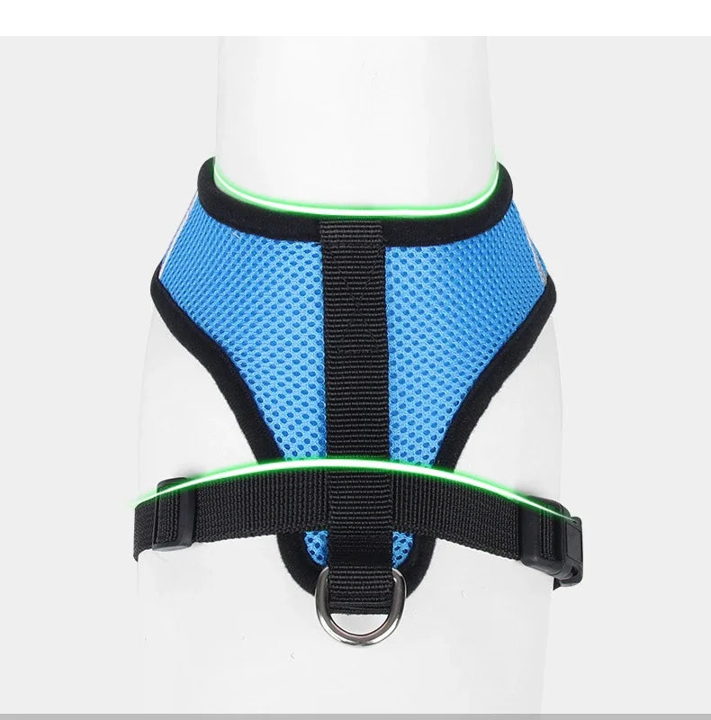 Adjustable Mesh Pet Harness & Leash Set