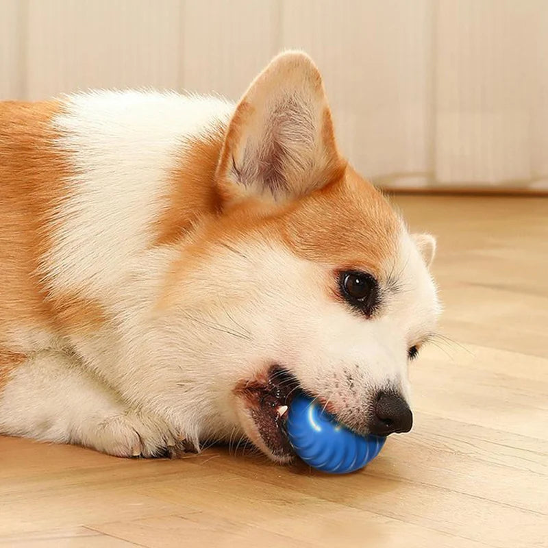 Smart Motion-Activated Dog Toy Ball