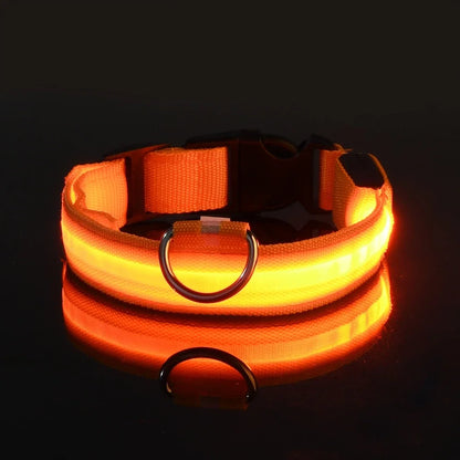LED Glow-in-the-Dark Dog Leash & Collar