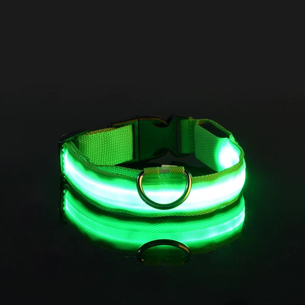 LED Glow-in-the-Dark Dog Leash & Collar
